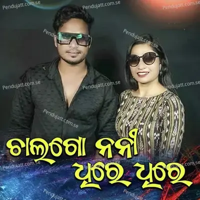 Chal Go Nani Dhire Dhire - R RAJKUMAR album cover 