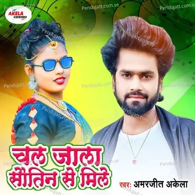 Seewan Ke Ha Laika Palsar Se Aawe - Amarjeet Akela album cover 