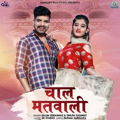 Chal Matwali - Salim Shekhawas album cover 