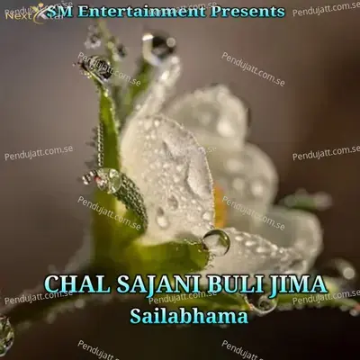Chal Sajani Buli Jima - Sailabhama Mohapatra album cover 