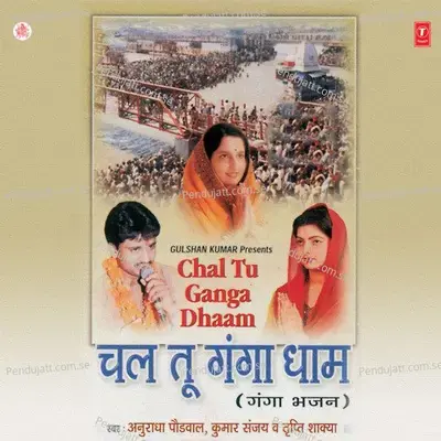 Main Teri Sharan Mein Aa Gaya Hoon - Anuradha Paudwal album cover 