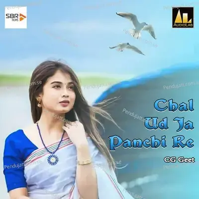 Chal Ud Ja Panchi Re - Poonam Dubey Veena album cover 