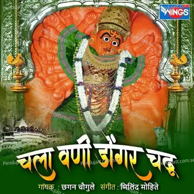 Chal Vani Dongar Chadu - Chhagan Chougule album cover 