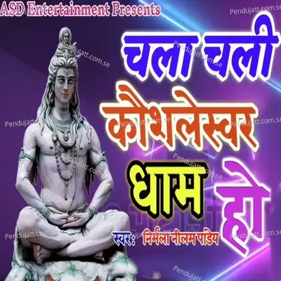 Chala Chali Kaushleshwar Dham Ho - Nirmala Neelam Pandey album cover 