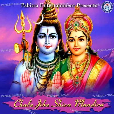 A Sajani Sunle Sajni - Sheetal Jagdala album cover 