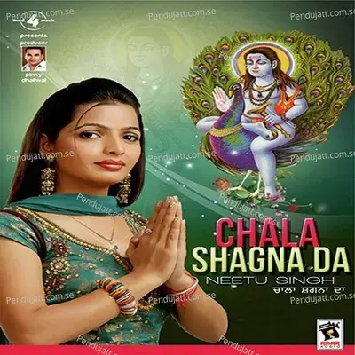 Wasda Hai Paunahari - Neetu Singh album cover 