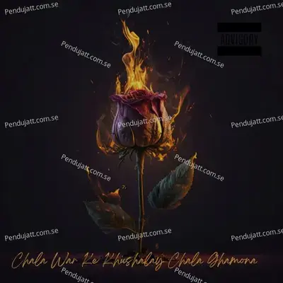 Chala War Ke Khushalay Chala Ghamona - Malak Intezar Khan album cover 