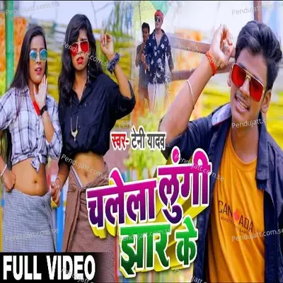 Chalega Lungi Jhar Ke - Teni Yadav album cover 