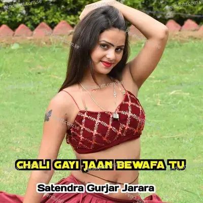 Chali Gayi Jaan Bewafa Tu - Satendra Gurjar Jarara