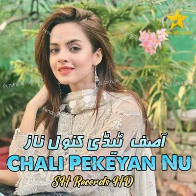 Chali Pekeyan Nu - Asif Tedi album cover 