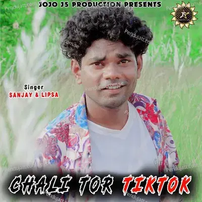 Chali Tor Tiktok - SANJAY BHAI album cover 