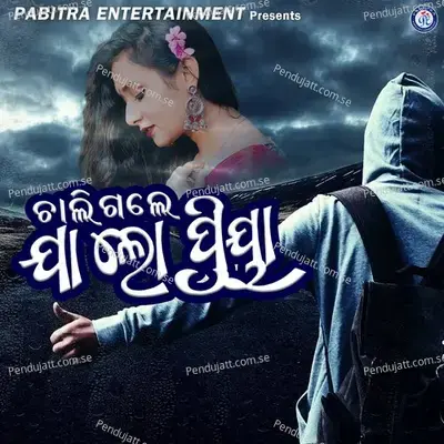 Chaligale Ja Lo Priya - Karunakar Sethy album cover 