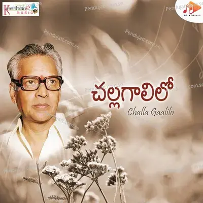 Paadamanu Tummeda - Vennela Kanti album cover 