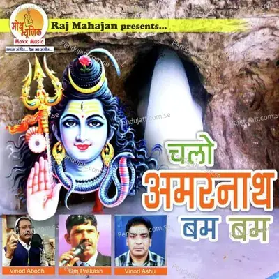 Amarnath Yatra Vivran - Vinod Ashu album cover 