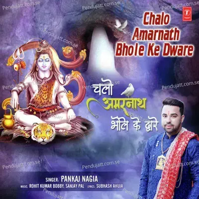 Chalo Amarnath Bhole Ke Dware - Pankaj Nagia album cover 