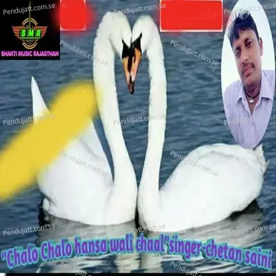 Chalo Chalo Hansa Wali Chal - Chetan Saini album cover 