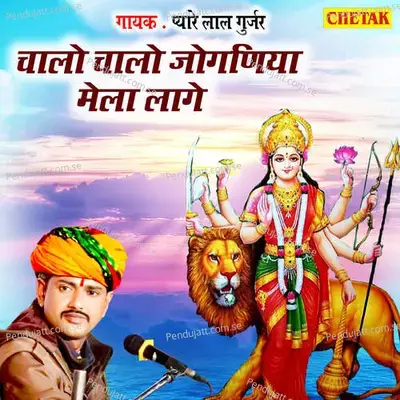 Chalo Chalo Joganiya Mela Lage - Pyare Lal Gurjar album cover 