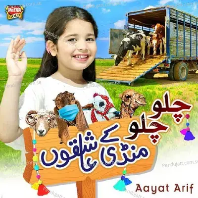Chalo Chalo Mandi Ke Aashiqon - Aayat Arif album cover 