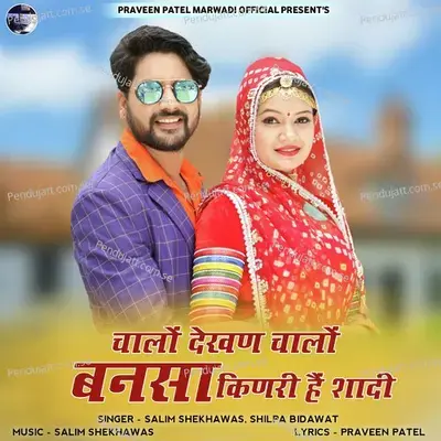 Chalo Dekhan Chalo Bansa Kinari Hai Shadi - Salim Shekhawas album cover 