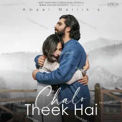 Chalo Theek Hai - Amaal Mallik album cover 