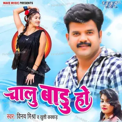 Chalu Badu Ho - Vinay Mishra album cover 