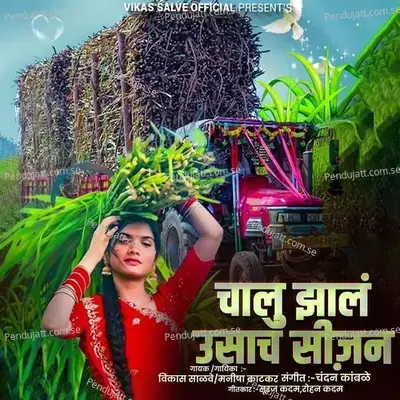 Chalu Zal Usach Season - Vikas Salve album cover 