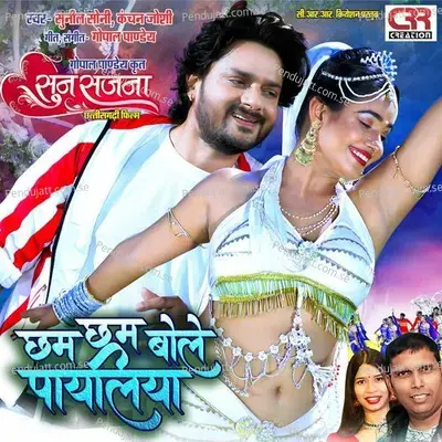 Cham Cham Bole Payaliya - Sunil Soni album cover 