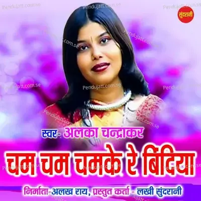 Cham Cham Chamke Re Bindiya - Alka Chandrakar album cover 