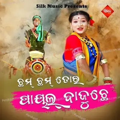 Cham Cham Tora Payal Bajuche - Dilip Panda album cover 