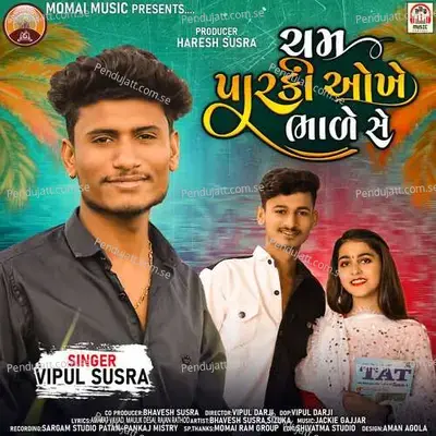 Cham Parki Okhe Bhade Se - Vipul Susra album cover 
