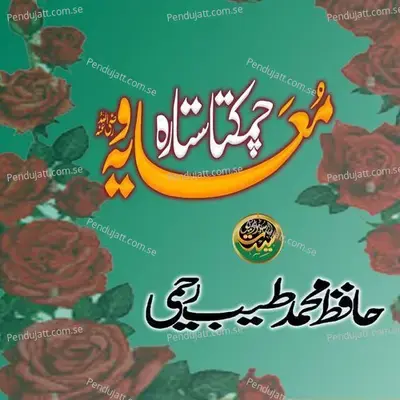 Chamakta Sitara Muawiya - Hafiz Muhammad Tayyab Raheemi cover album