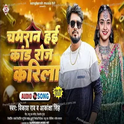 Chamaran Hayi Kand Roj Karila - Vikash Rao album cover 