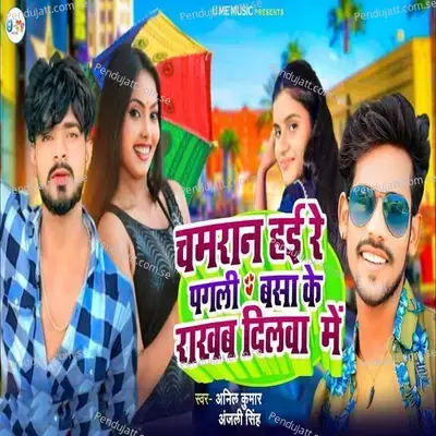 Chamaran Hayi Re Pagali Basa Ke Rakhab Dilwa Me - Anil Kumar album cover 