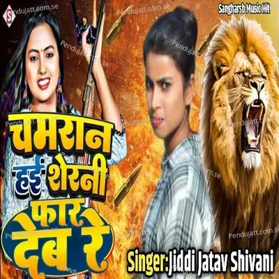 Chamaran Sherani Hayi Faar Deb Re - Jiddi Jatav Shivani album cover 