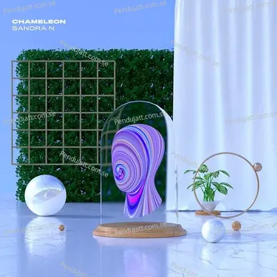 Chameleon - Sandra N album cover 