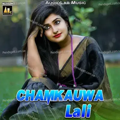 Jotayee Lunga Tere Baap Se - VIjay Raj Yadav album cover 