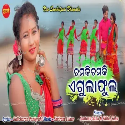 Chamki Chamki A Gulaphula - Santanu Sahu album cover 