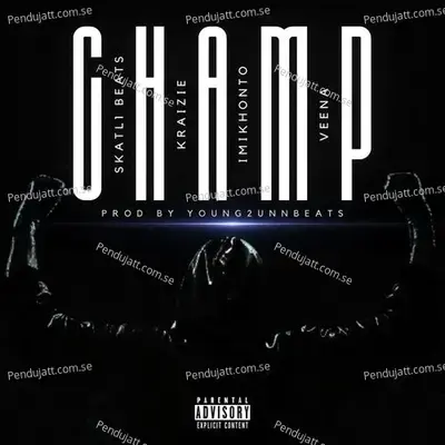 Champ - Skatl1 Beats album cover 