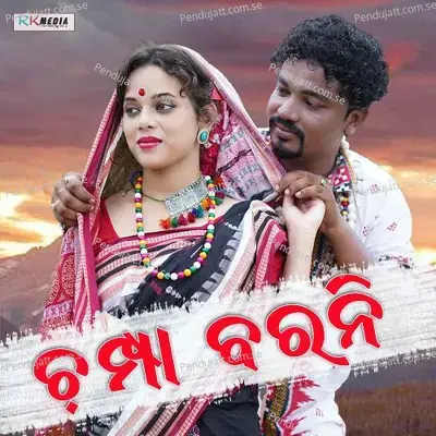 Dil Dole Man Dole - Santanu Sahu album cover 