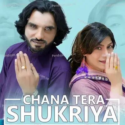 Chana Tera Shukriyaa - Tanveer Anjum album cover 