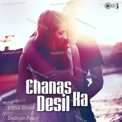 Bagha Phirtoi Aaj Begari Aaj - Ranjana Shinde album cover 