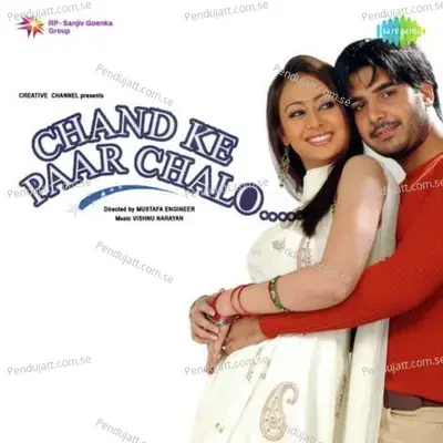 Dhin Chak Lad Gayee - Vishnu Narayan album cover 