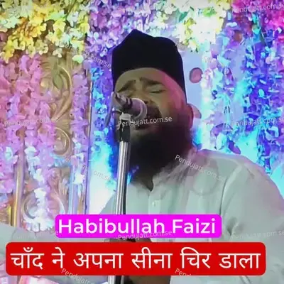 Chand Ne Apna Sina Chir Dala - Habibullah Faizi album cover 