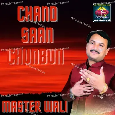 Tunjo Bhi Khowab Poro Thiyo - Master Wali album cover 