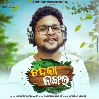 Chandaka Jungle - Kuldeep Pattnaik album cover 