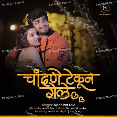 Chandane Tekun Gele - Nachiket Lele album cover 