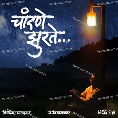 Chandane Zurate - Vidit Patankar album cover 