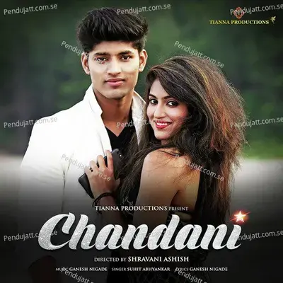 Chandani - Suhit Abhyankar album cover 