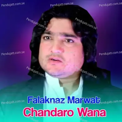 Chandaro Wana - Falak Naz Marwat album cover 