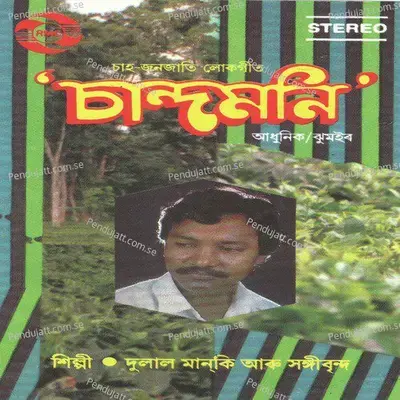 Hen Madhu Mase - Dulal Manki album cover 